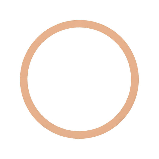 Particulate Filter DPF Gasket For Navistar International 2594129C1 New