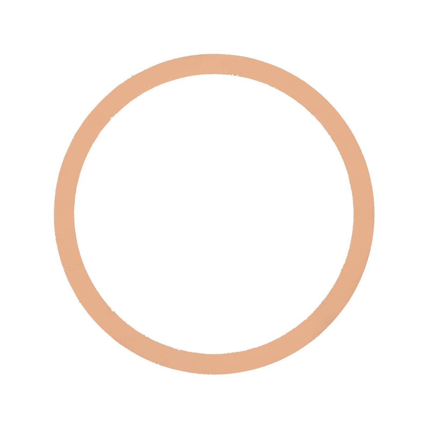 Particulate Filter DPF Gasket For Navistar International 2594129C1 New